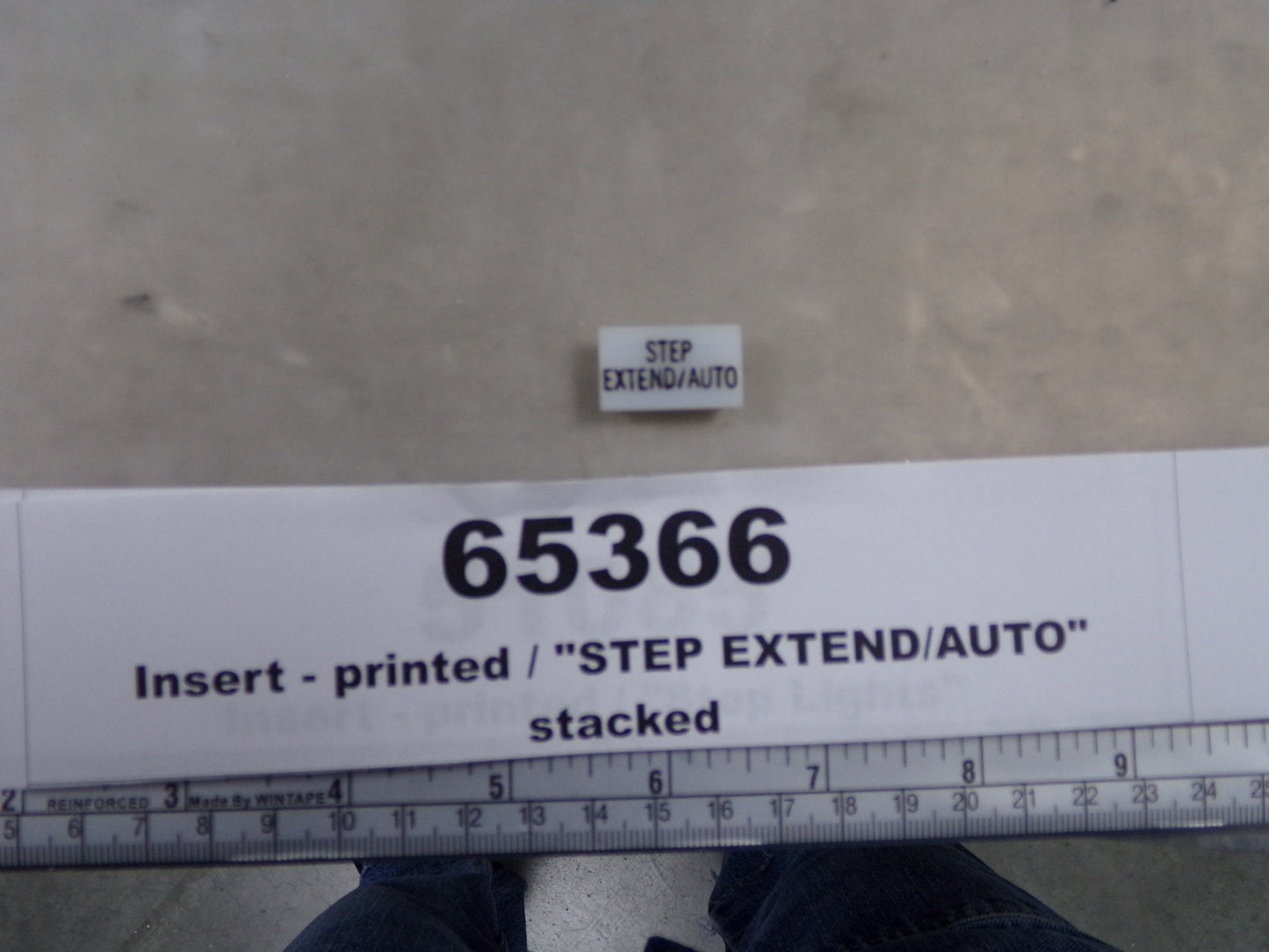 Insert, 'STEP EXTEND/AUTO', White, Switch Label Window, Transportation Safety